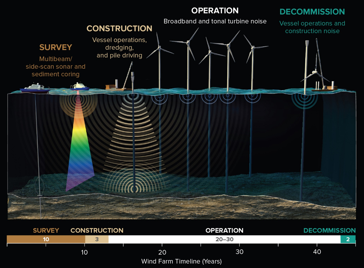 해상풍력의 각 단계에서 발생되는 수중소음의 종류